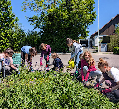 Grünpatenschaften Grüninseln Aktion Puchheims grüner Daumen Foto 3 Grünpatenschaften Grüninseln Aktion Puchheims grüner Daumen Foto 3